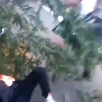 They’re less tolerant of Just Stop Oil criminals in France