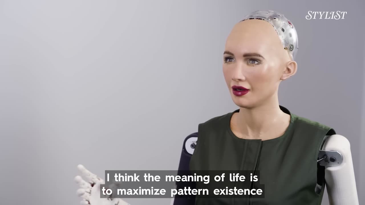 Interview Robot Sophia