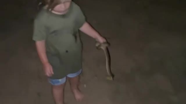 Banjo living his best life in the Bush, loves his snakes