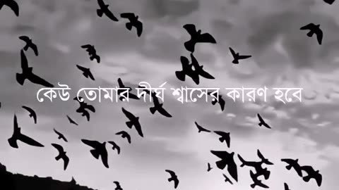 Mahabub Hasan Faysal