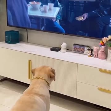 Not everything you see is real