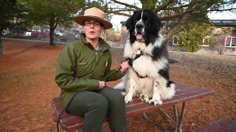 Protect Your Pet Privileges - Acadia National Park