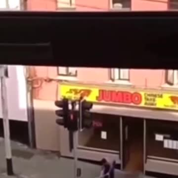 Rat runs into Irish Chinese restaurant