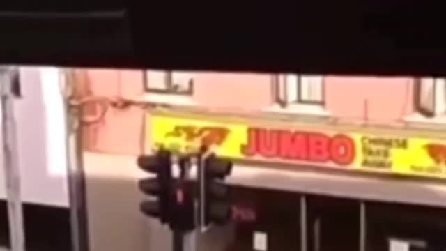 Rat runs into Irish Chinese restaurant