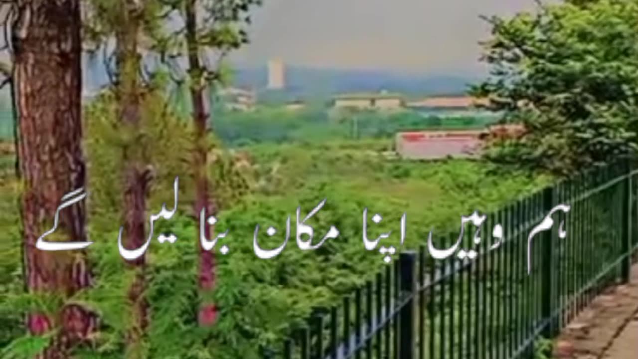 View of Islamabad Pakistan green tress