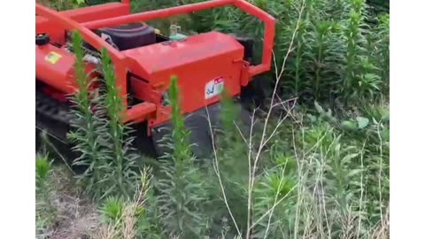 here's how i orchard mower in 2023