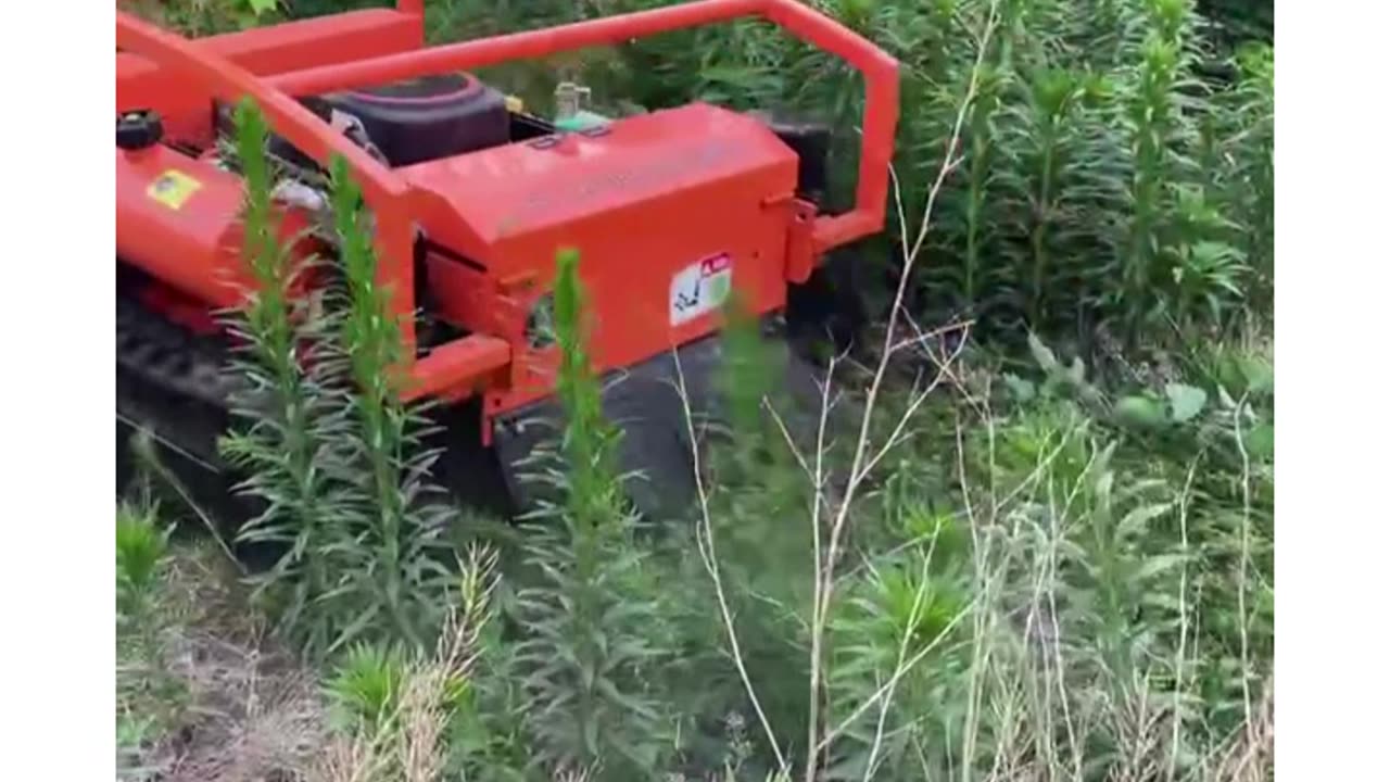 here's how i orchard mower in 2023