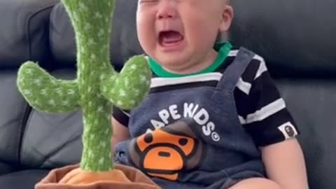 Talking Cactus react by baby very funny baby video shorts