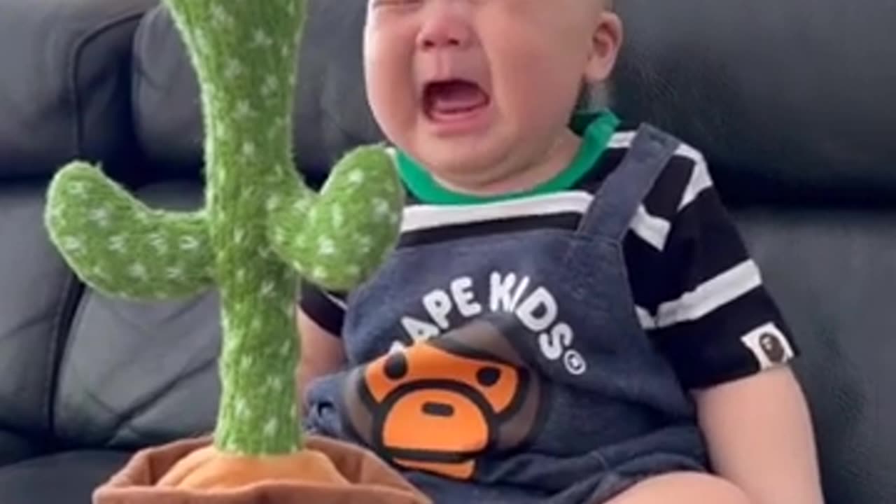 Talking Cactus react by baby very funny baby video shorts