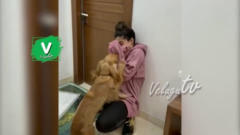 Cute dog with rashmika