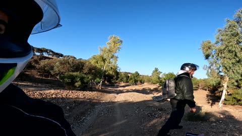 a walk in the wild