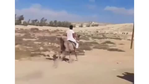 Funny Hores riding 🤣 😄 😆