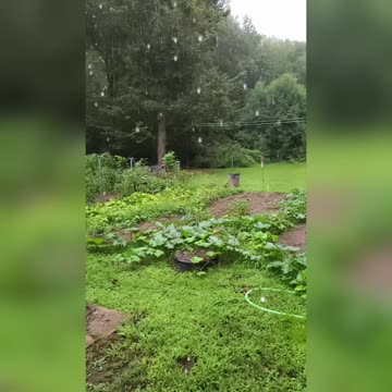 Rainy Sunday In Slow Motion