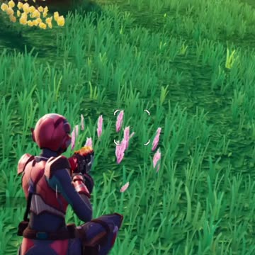 Let's Dance! (Fortnite animal taming)