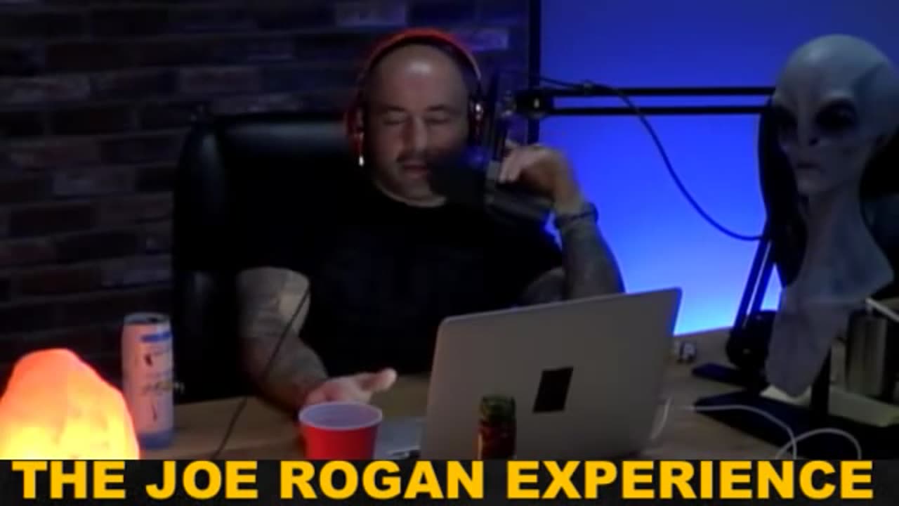 Joe Rogan Experience #368 - David Seaman.MP4