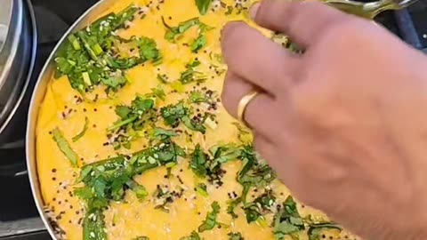 Dhokla gujrati food