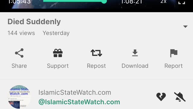 Pt.2/2 DOCUMENTARY SUDDEN DEATH COMMENTARY