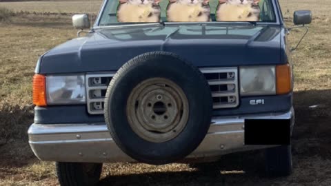 me and the bois driving in my old truck at 11 at night making everyone in a 1 mile radius mad not YT