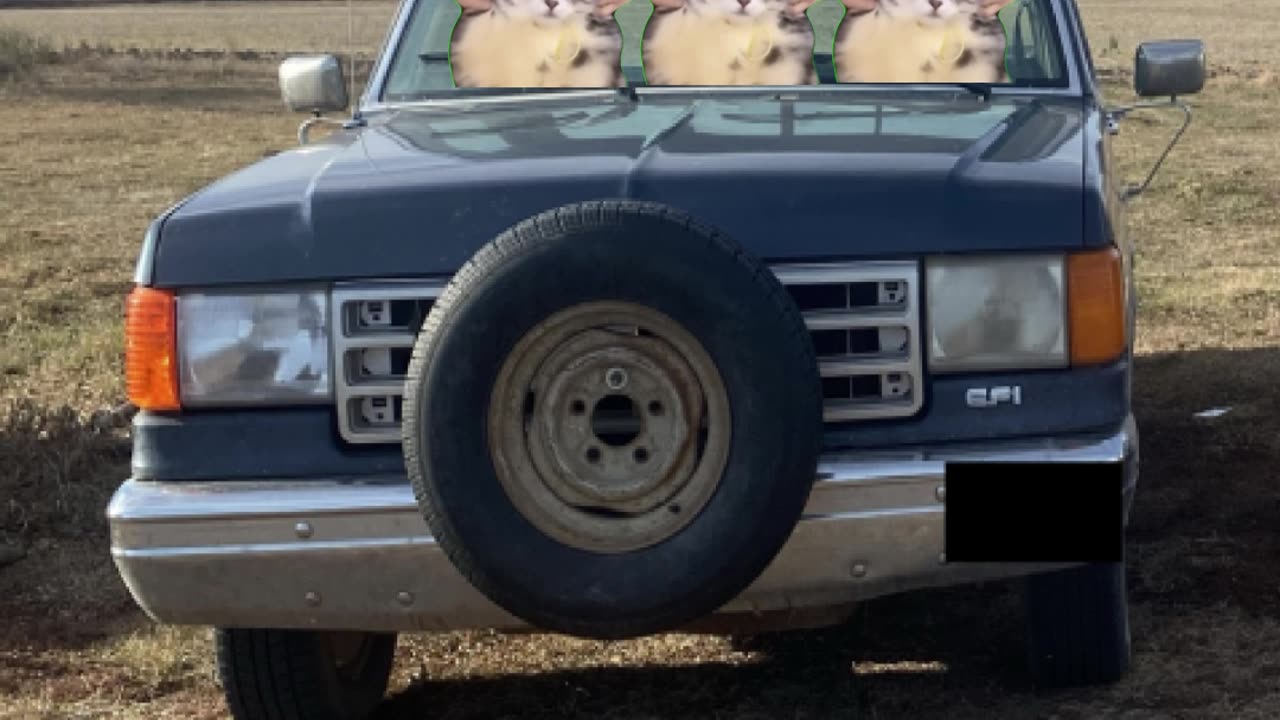 me and the bois driving in my old truck at 11 at night making everyone in a 1 mile radius mad not YT