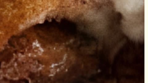 The Deep Fried Mars Bar | Scottish Dessert | Scottish Cuisine | Mars Chocolaet Bar