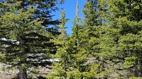 Alberta hike trip