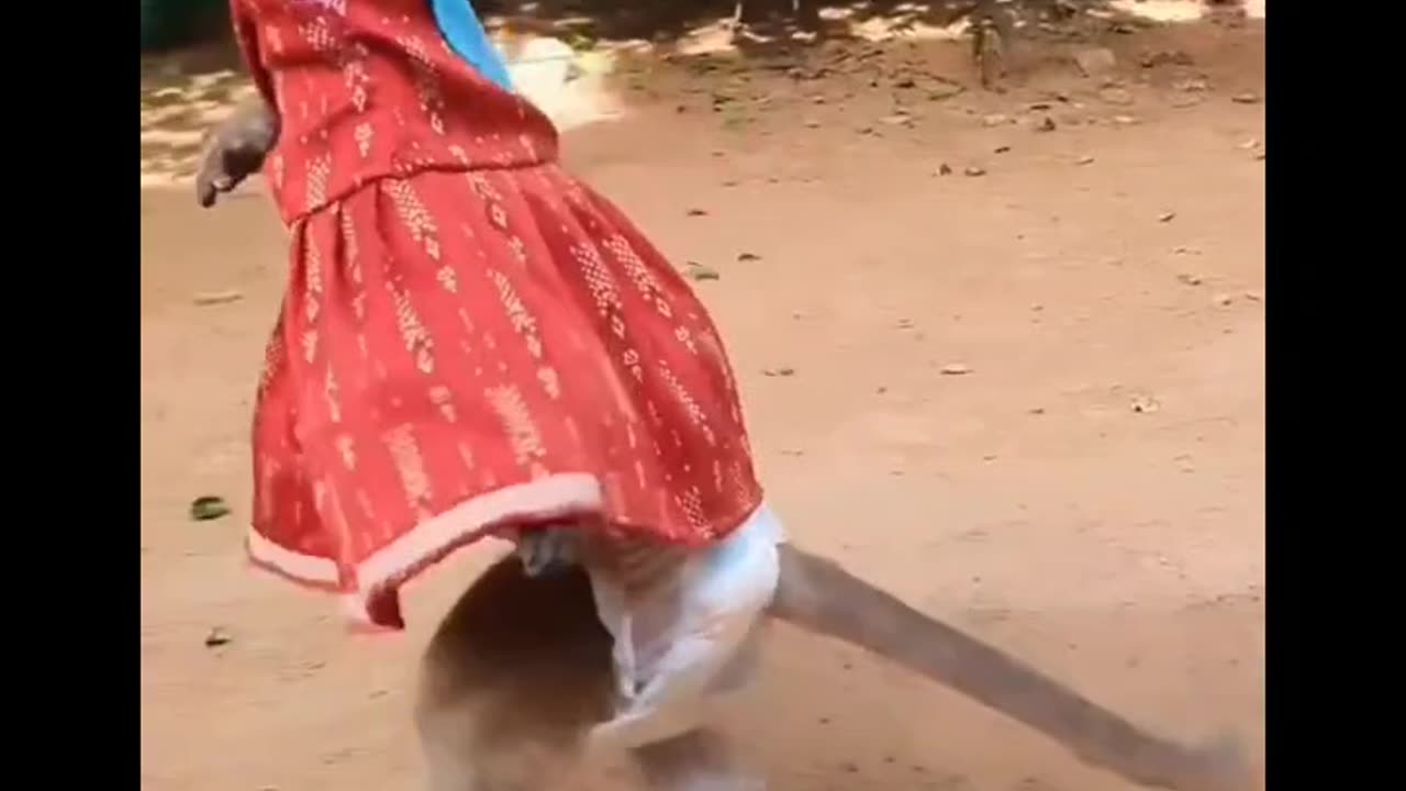 Baby monkey dancing well #viral funny