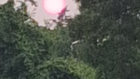 unfiltered footage of the SUN