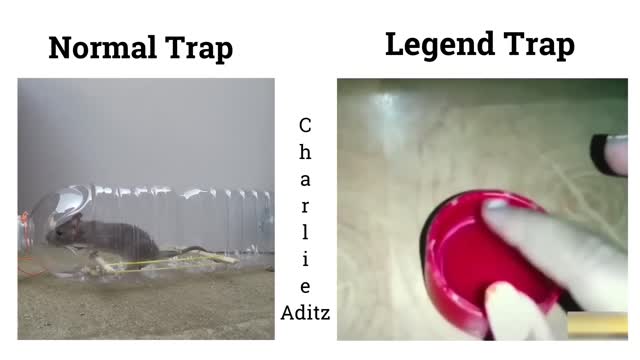 Normal Trap Vs Legend Trap !! Memes #viralmemes