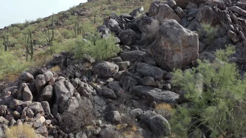 Piaccho Mountain, AZ. Petroglpyhs