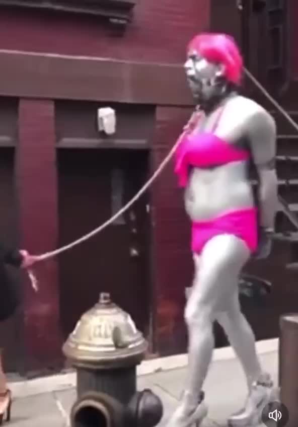 Normal day at portland