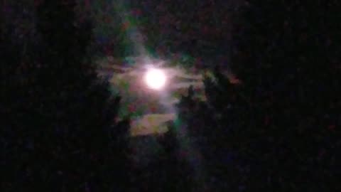 Spring Night Time Moon