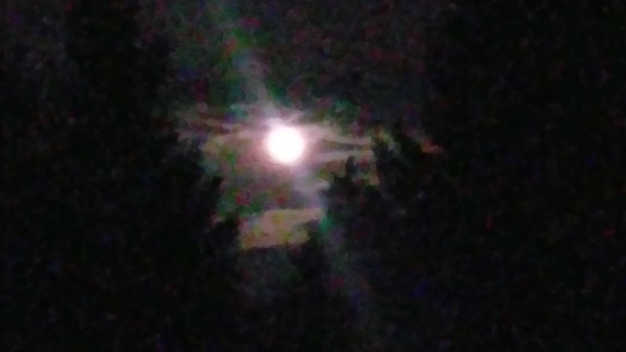 Spring Night Time Moon