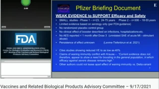 ?Vaxx killing more people than it saves? FDA Vaccines Advisory Committee: Steven Kirsch and Dr. David Wiseman