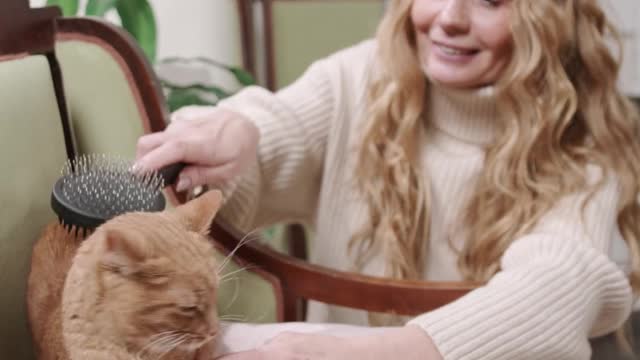 Cat Hair Brushing