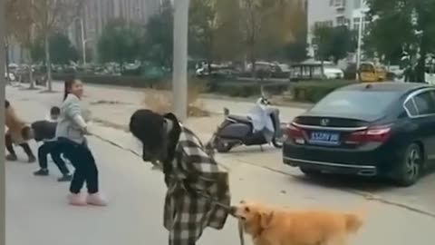 FUNNY CATS vs DOGS😅😺🐶 #PART-10