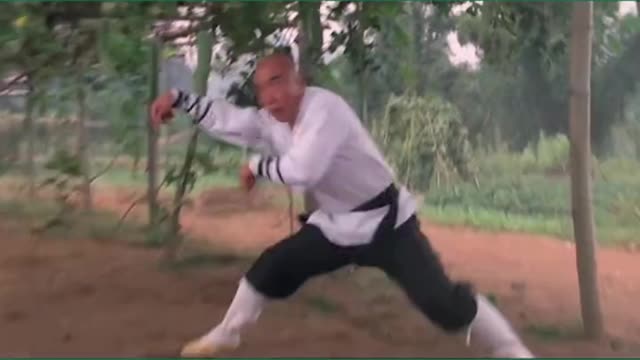 Chinese Wushu