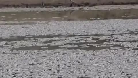More eco sabotaged nature