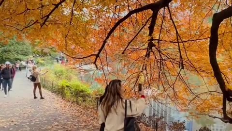 Autumn in Central Park, New York City 🍁