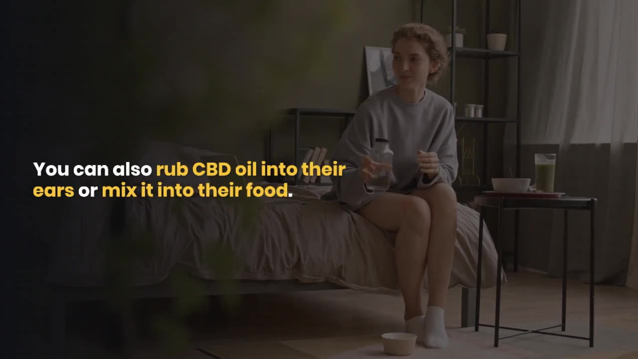 How to Give CBD Oil to Dogs