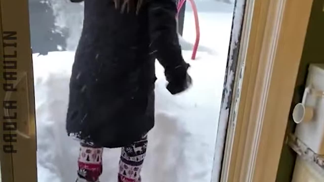 When Life Gives Fails