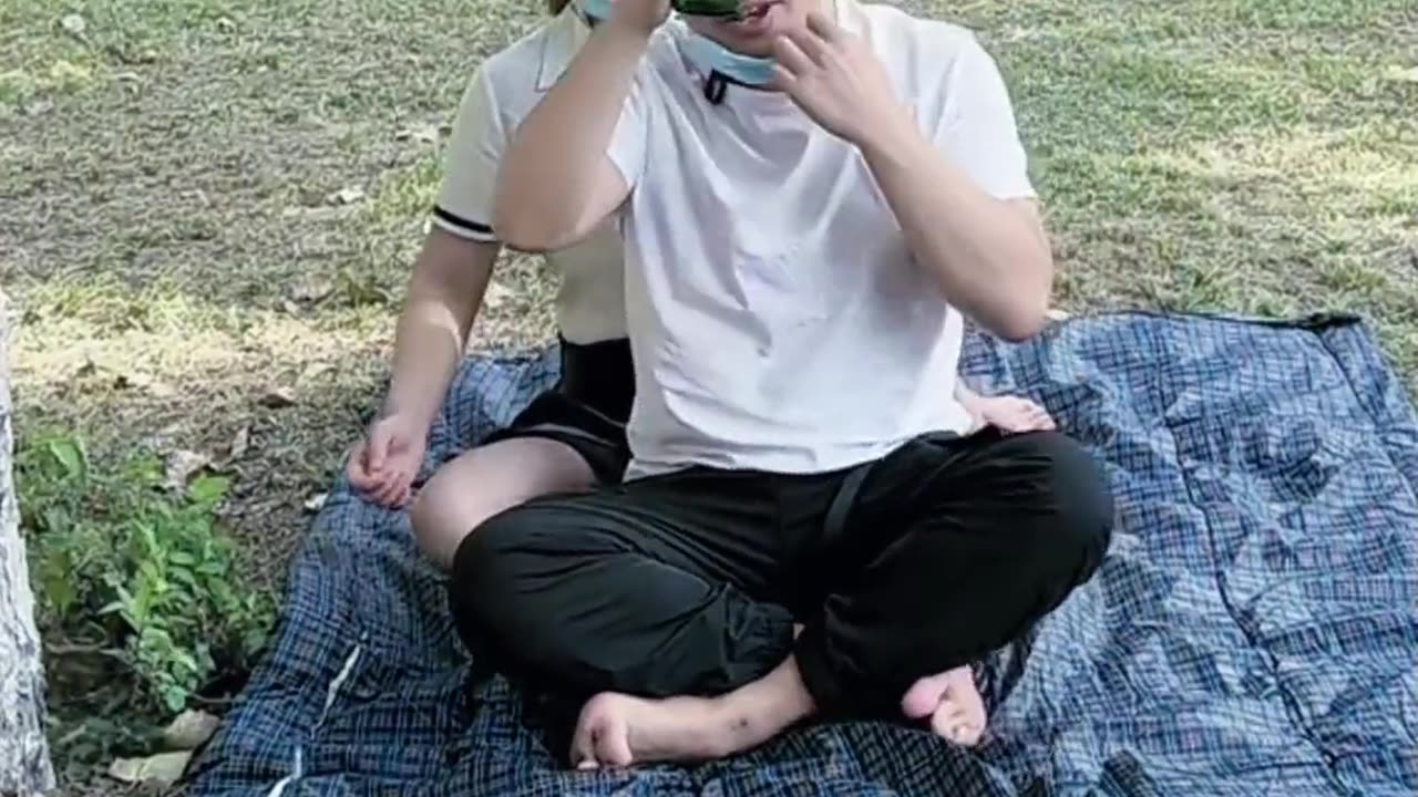 Funny bottle game, home game, funny videos