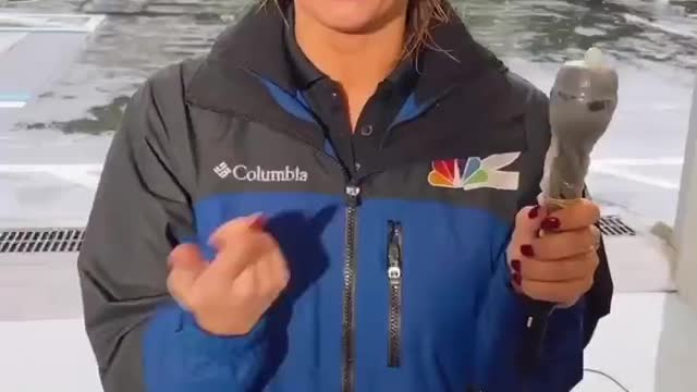 NBC Weather Reporter Protecting Her Microphone From Hurricane Ian with a Special Tool