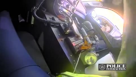 COP HITTING DRIVER AT A TRAFFIC STOP!