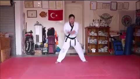 Taekwondo