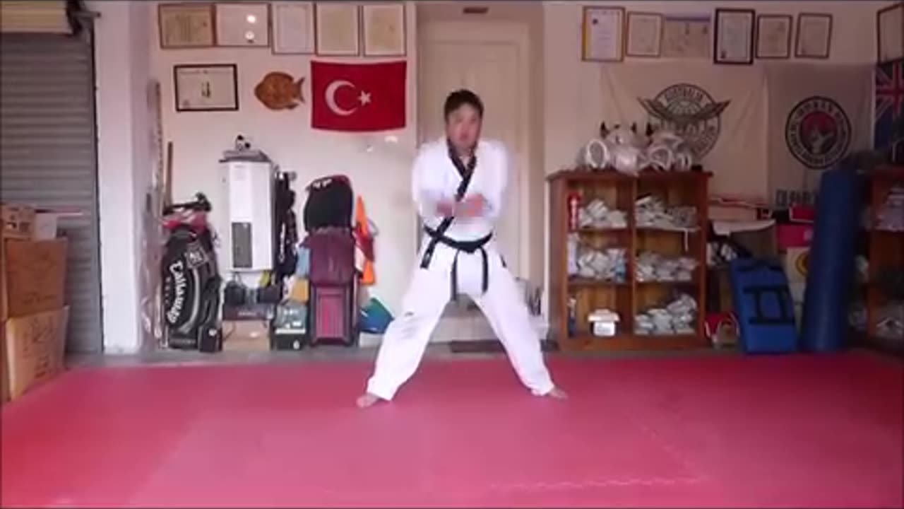 Taekwondo