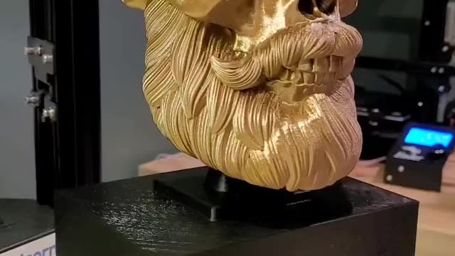 3D Printed Beard Skull on Custom Stand