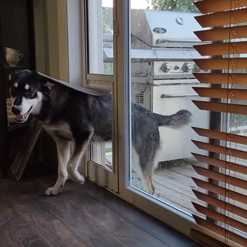 Problem solving 101 (attempt number 2)