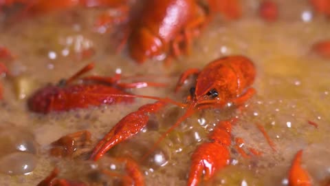 The crawfish billow in the fryer and smell delicious