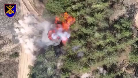 Artillerymen of the 406th Airborne Brigade destroyed the Russian 2S4 "Tulip"