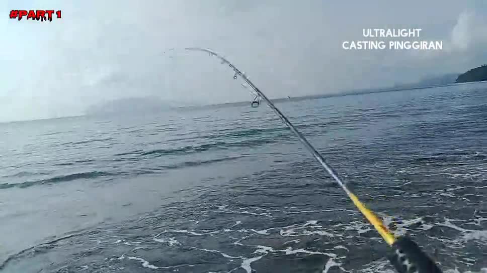 casting Fish On the seafront, quite exciting!